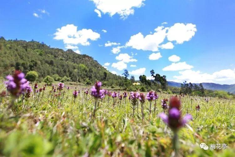 过了腊八就是年，汶上这场乡村文化旅游好精彩